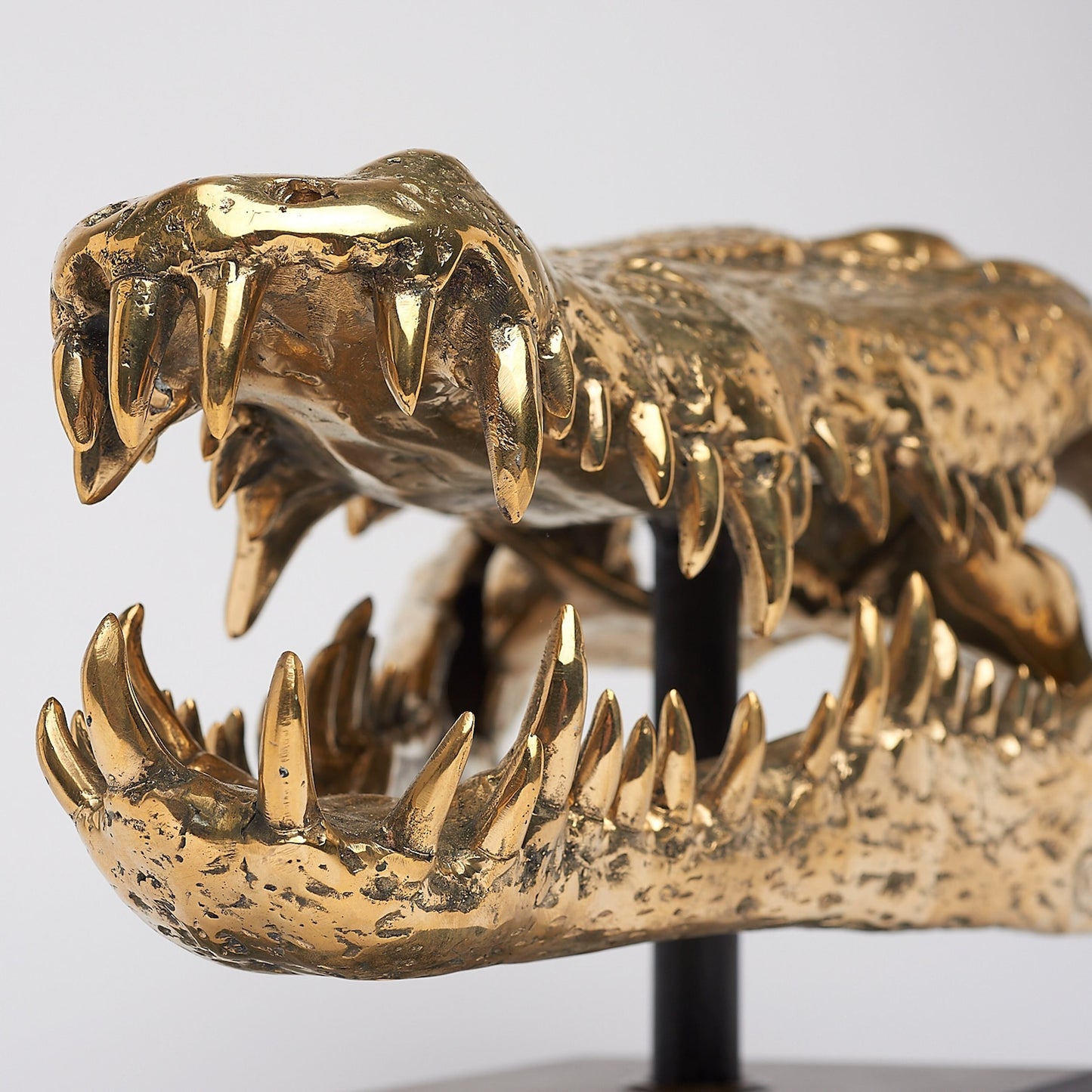 Bronze Crocs Skull