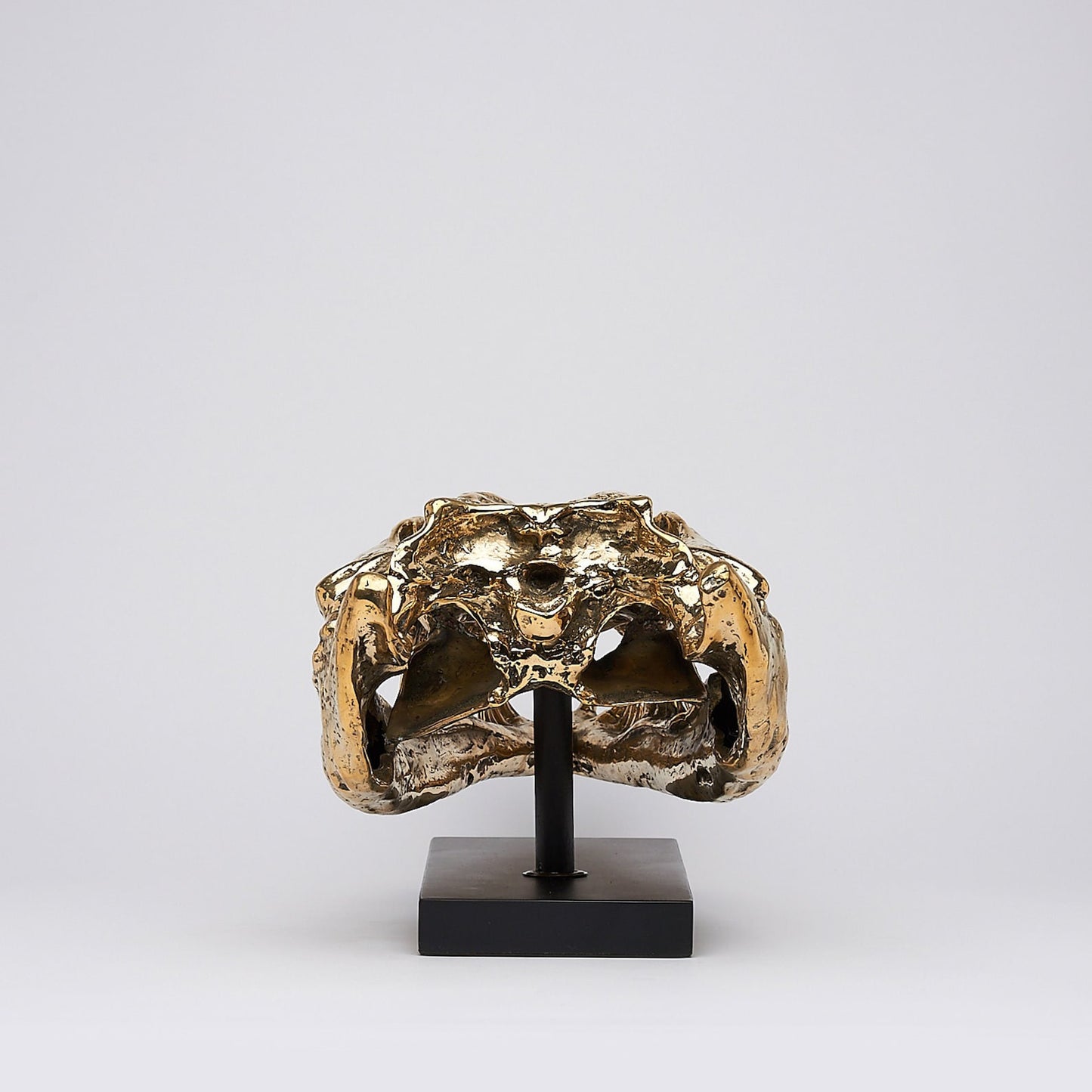 Bronze Crocs Skull