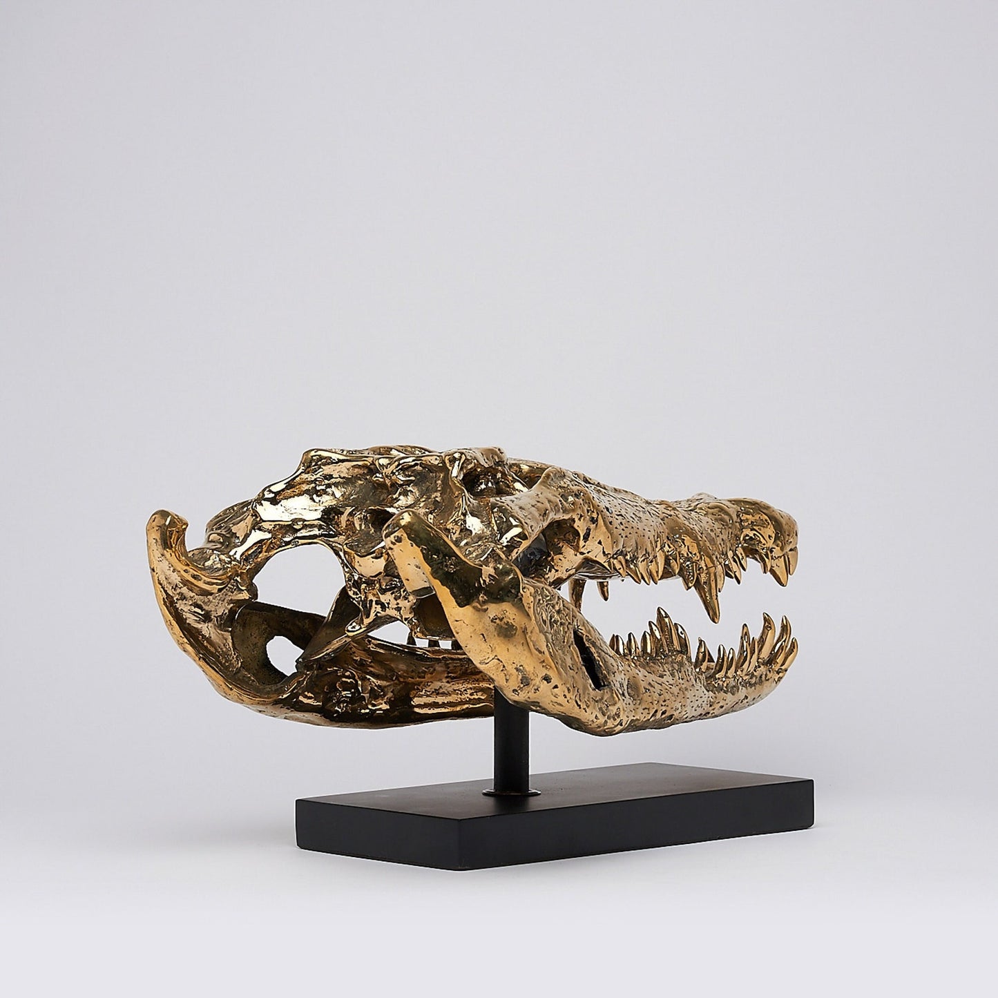 Bronze Crocs Skull