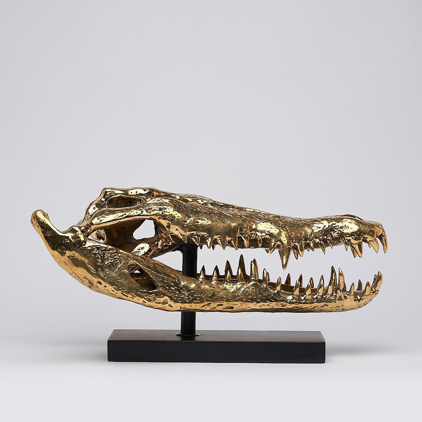 Bronze Crocs Skull