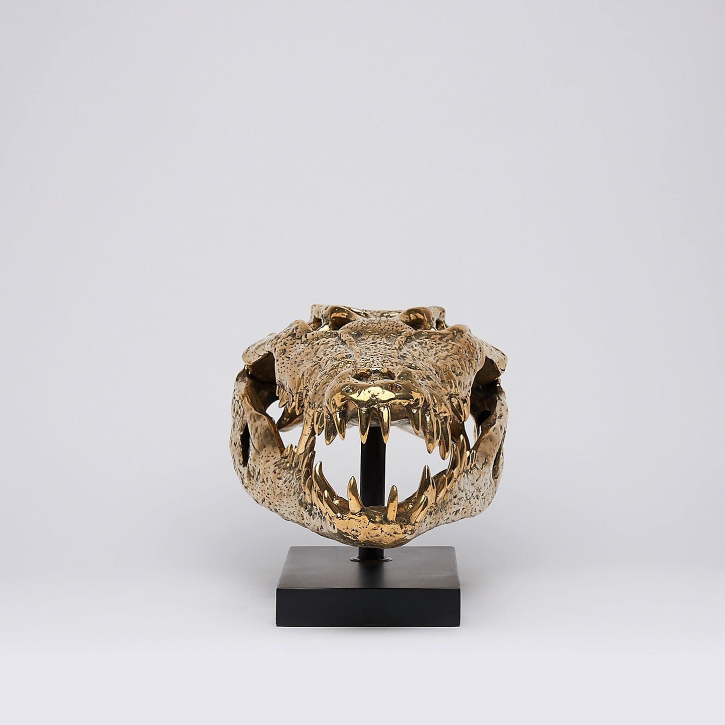 Bronze Crocs Skull