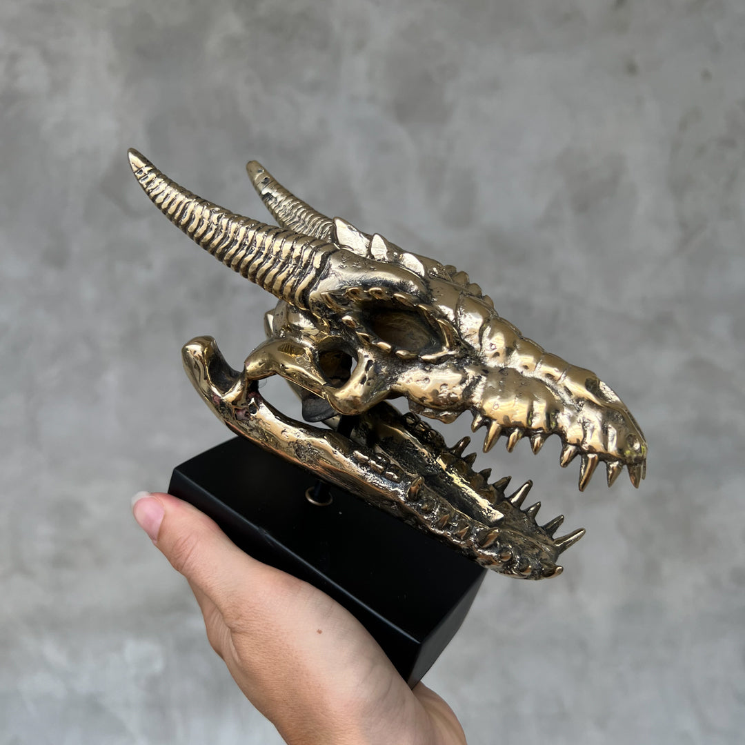 Dragon Skull