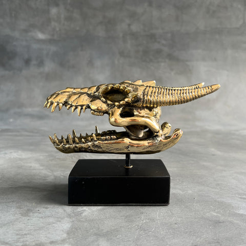 Dragon Skull