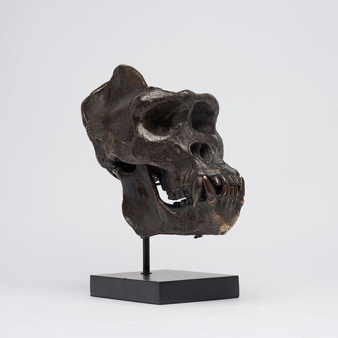 Jungle King Gorilla Skull