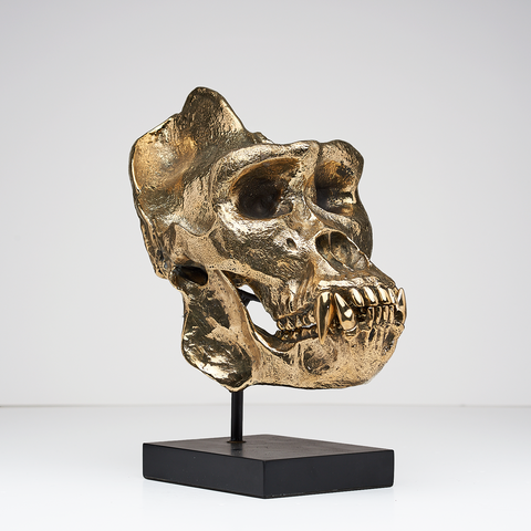 Jungle King Gorilla Skull