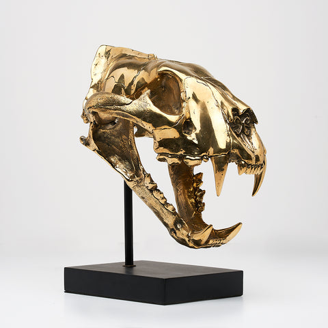 Sumatran Tiger Skull