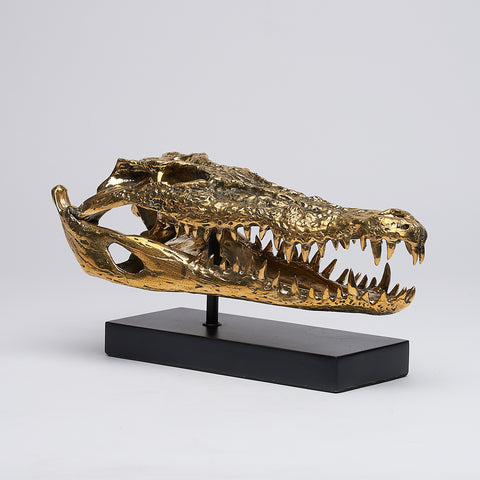 Saltwater Crocodile Skull