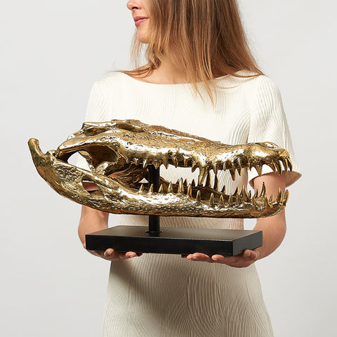 Saltwater Crocodile Skull