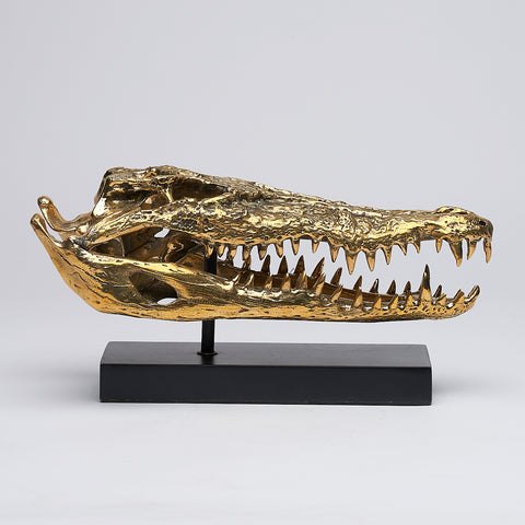 Saltwater Crocodile Skull