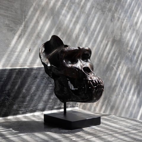 Jungle King Gorilla Skull