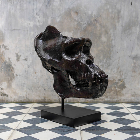 Jungle King Gorilla Skull