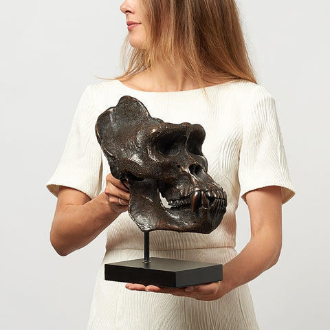 Jungle King Gorilla Skull