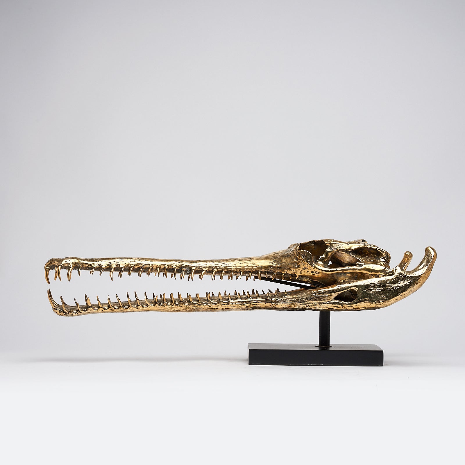 Grand Gharial Bronze Skull