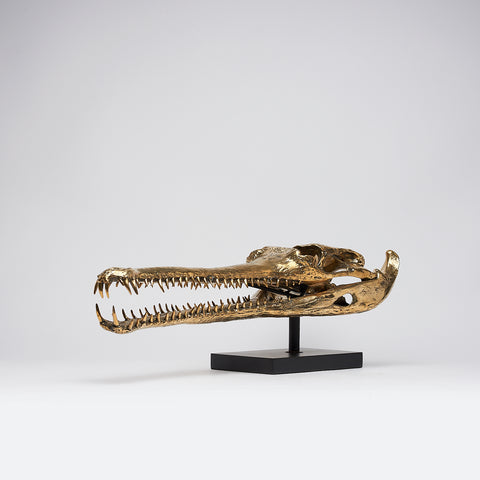 Grand Gharial Bronze Skull