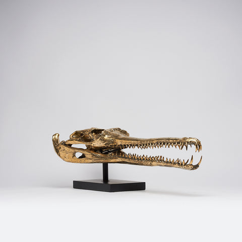 Grand Gharial Bronze Skull