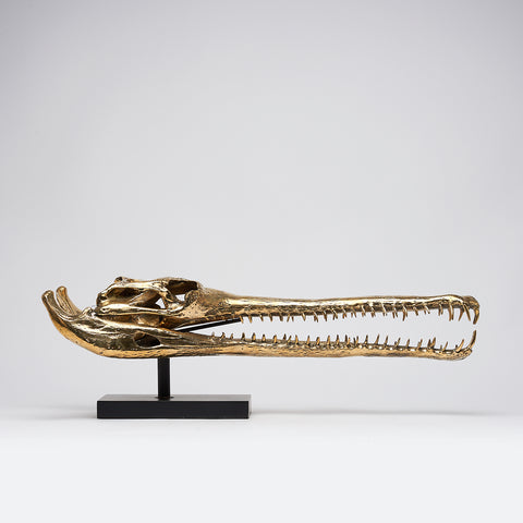 Grand Gharial Bronze Skull