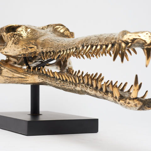 Grand Gharial Bronze Skull